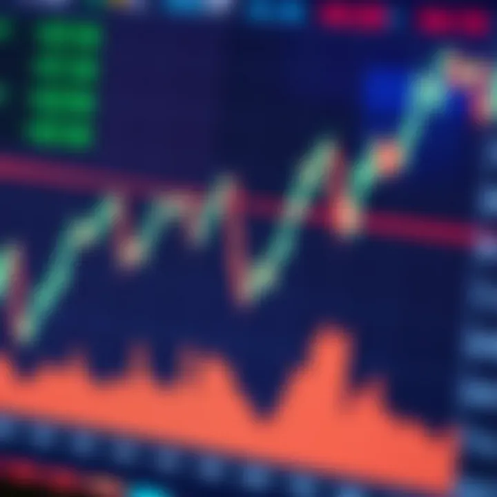 Forex Trading Basics for South African Beginners Forex Trading Basics for South African Beginners