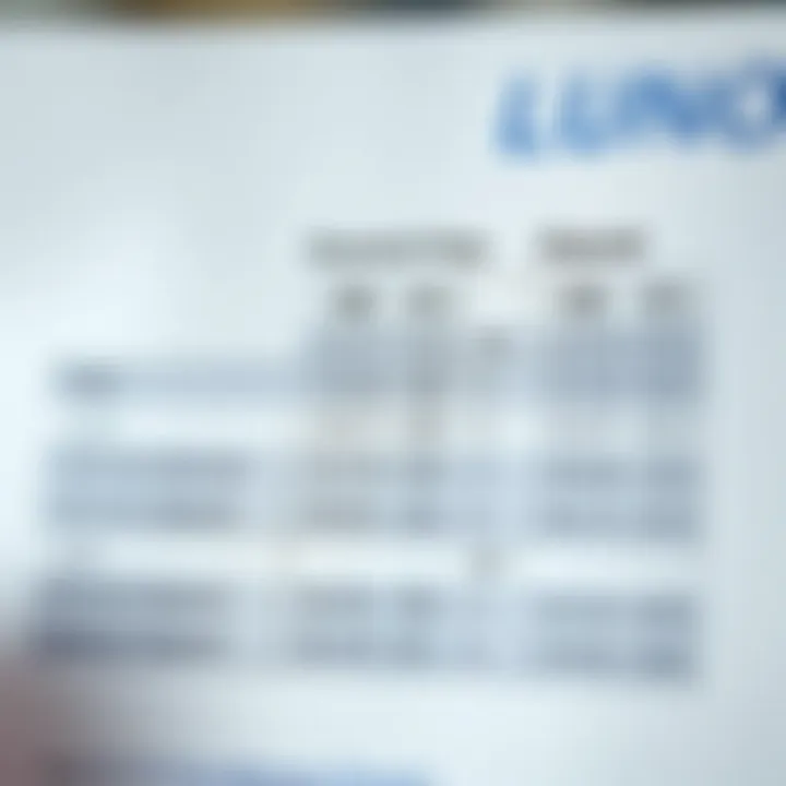Comparison of Deposit Fees and Minimum Amounts on Luno Comparison chart illustrating fees and minimum deposit amounts for different payment options on Luno