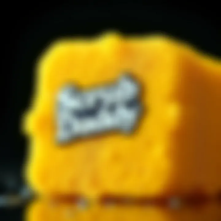 Scrub Daddy's Net Worth and Business Growth Explained